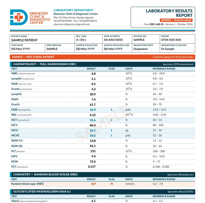 Sample Ebenezer laboratory results report with fictional values, showing each result beside its normal range and H or L flags